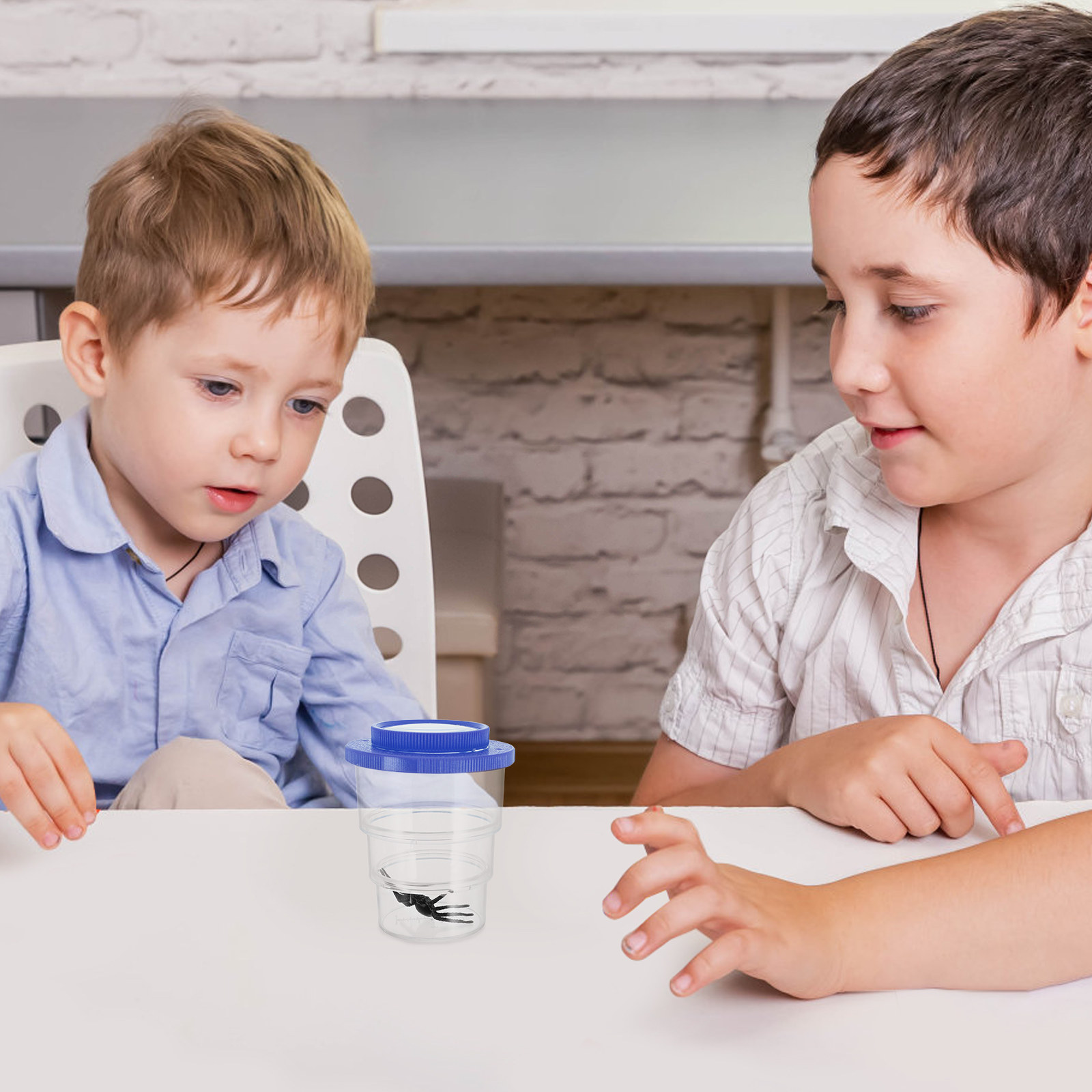 Three-Section Insect Observati - огляд і ціна Science Kit