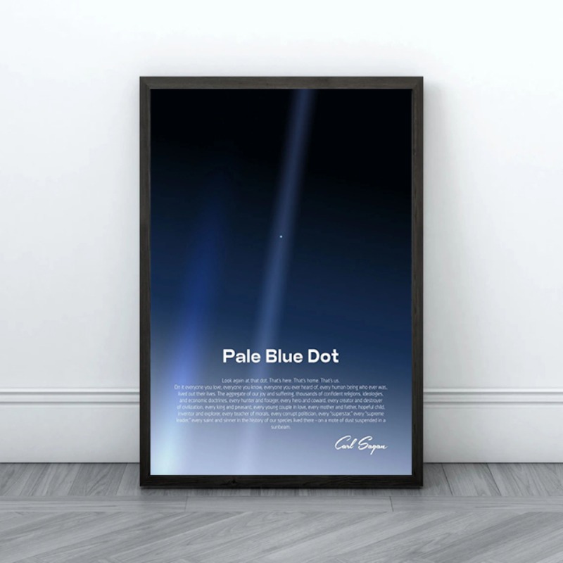 Pale Blue Dot Print Poster Voy - огляд і ціна Star Map Poster