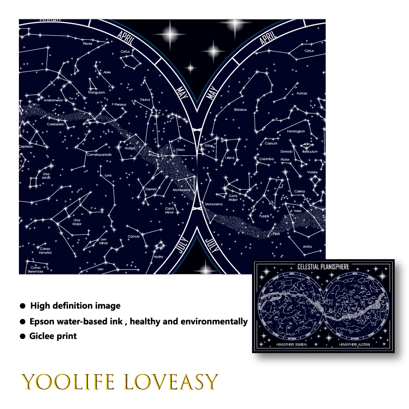 Celestial Planisphere Map Canv - огляд і ціна Star Map Poster